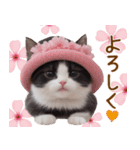 可愛いハチワレ猫 春を感じる思いやり（個別スタンプ：13）