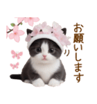 可愛いハチワレ猫 春を感じる思いやり（個別スタンプ：14）