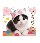 可愛いハチワレ猫 春を感じる思いやり（個別スタンプ：15）