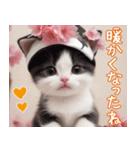 可愛いハチワレ猫 春を感じる思いやり（個別スタンプ：17）