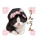 可愛いハチワレ猫 春を感じる思いやり（個別スタンプ：20）