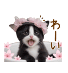可愛いハチワレ猫 春を感じる思いやり（個別スタンプ：21）