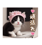 可愛いハチワレ猫 春を感じる思いやり（個別スタンプ：22）