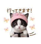 可愛いハチワレ猫 春を感じる思いやり（個別スタンプ：25）