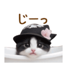可愛いハチワレ猫 春を感じる思いやり（個別スタンプ：27）