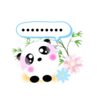 ころまるパンダのご挨拶2（個別スタンプ：1）