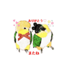 シロハラインコ、ニョオウインコ（個別スタンプ：6）