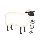 いろんな動物 シリーズ01（個別スタンプ：1）