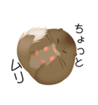 いろんな動物 シリーズ01（個別スタンプ：7）