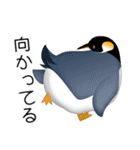 いろんな動物 シリーズ01（個別スタンプ：10）