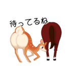 いろんな動物 シリーズ01（個別スタンプ：11）