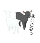 いろんな動物 シリーズ01（個別スタンプ：12）