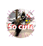 動物面白スタンプanimal funny expression（個別スタンプ：4）