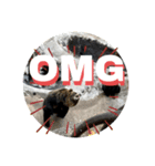 動物面白スタンプanimal funny expression（個別スタンプ：5）