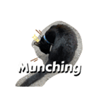 動物面白スタンプanimal funny expression（個別スタンプ：7）