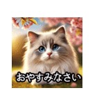可愛い子猫×定番挨拶 使いやすさ◎（個別スタンプ：4）