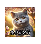 可愛い子猫×定番挨拶 使いやすさ◎（個別スタンプ：5）