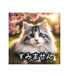 可愛い子猫×定番挨拶 使いやすさ◎（個別スタンプ：8）