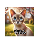 可愛い子猫×定番挨拶 使いやすさ◎（個別スタンプ：18）
