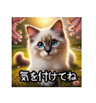 可愛い子猫×定番挨拶 使いやすさ◎（個別スタンプ：29）