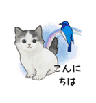 ナチュラル可愛い☆犬・猫の春スタンプ（個別スタンプ：1）