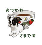 ナチュラル可愛い☆犬・猫の春スタンプ（個別スタンプ：3）
