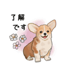 ナチュラル可愛い☆犬・猫の春スタンプ（個別スタンプ：6）