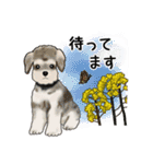 ナチュラル可愛い☆犬・猫の春スタンプ（個別スタンプ：7）