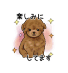 ナチュラル可愛い☆犬・猫の春スタンプ（個別スタンプ：8）