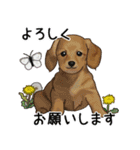 ナチュラル可愛い☆犬・猫の春スタンプ（個別スタンプ：9）