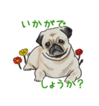 ナチュラル可愛い☆犬・猫の春スタンプ（個別スタンプ：11）