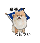 ナチュラル可愛い☆犬・猫の春スタンプ（個別スタンプ：12）