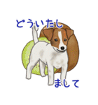 ナチュラル可愛い☆犬・猫の春スタンプ（個別スタンプ：16）
