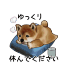 ナチュラル可愛い☆犬・猫の春スタンプ（個別スタンプ：21）