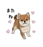 ナチュラル可愛い☆犬・猫の春スタンプ（個別スタンプ：24）
