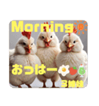 牧場の愉快な仲間達☆日常会話（個別スタンプ：2）