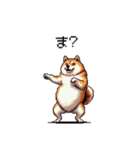 短文で伝える太っちょ柴犬（個別スタンプ：1）