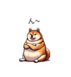 短文で伝える太っちょ柴犬（個別スタンプ：3）