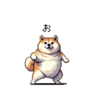 短文で伝える太っちょ柴犬（個別スタンプ：5）