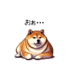 短文で伝える太っちょ柴犬（個別スタンプ：6）
