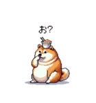 短文で伝える太っちょ柴犬（個別スタンプ：7）