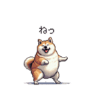 短文で伝える太っちょ柴犬（個別スタンプ：8）