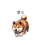 短文で伝える太っちょ柴犬（個別スタンプ：13）