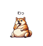 短文で伝える太っちょ柴犬（個別スタンプ：16）