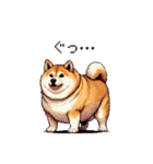 短文で伝える太っちょ柴犬（個別スタンプ：19）