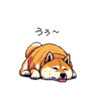 短文で伝える太っちょ柴犬（個別スタンプ：20）