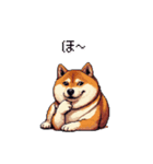 短文で伝える太っちょ柴犬（個別スタンプ：26）