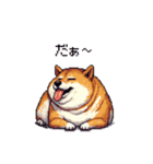 短文で伝える太っちょ柴犬（個別スタンプ：30）