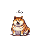 短文で伝える太っちょ柴犬（個別スタンプ：33）