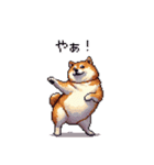短文で伝える太っちょ柴犬（個別スタンプ：34）